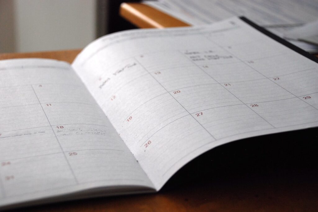 Januworry planning diary for the long month