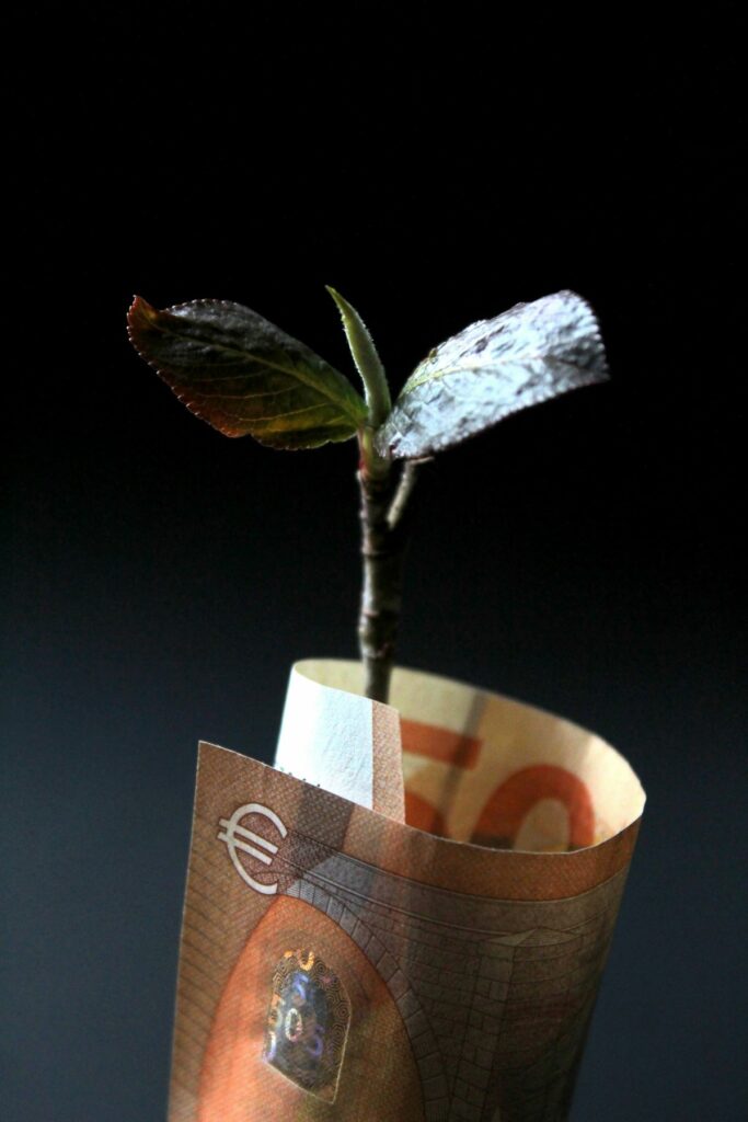 How a instant cash loans works in South Africa