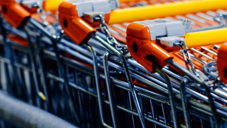 Shopping for groceries in a supermarket