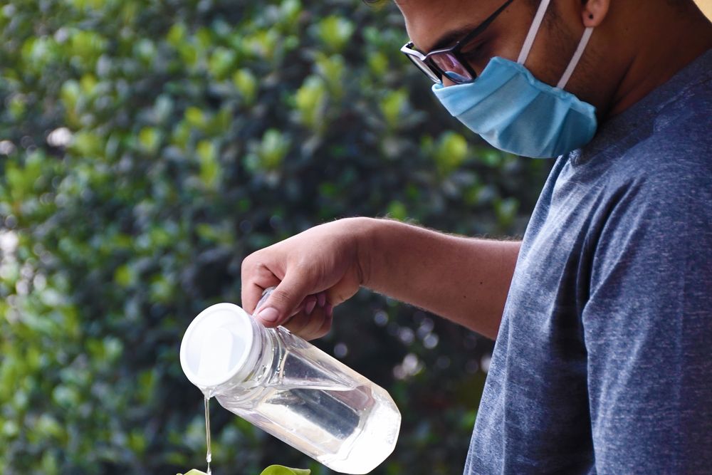 Seedling growing, showing savings growth, the slow growth behind financial independence
